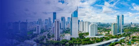 Electronic Invoicing in Indonesia