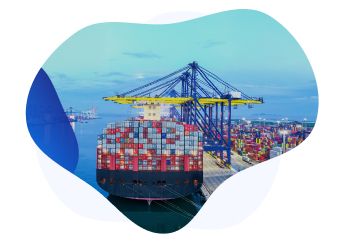 Logistics IT Services